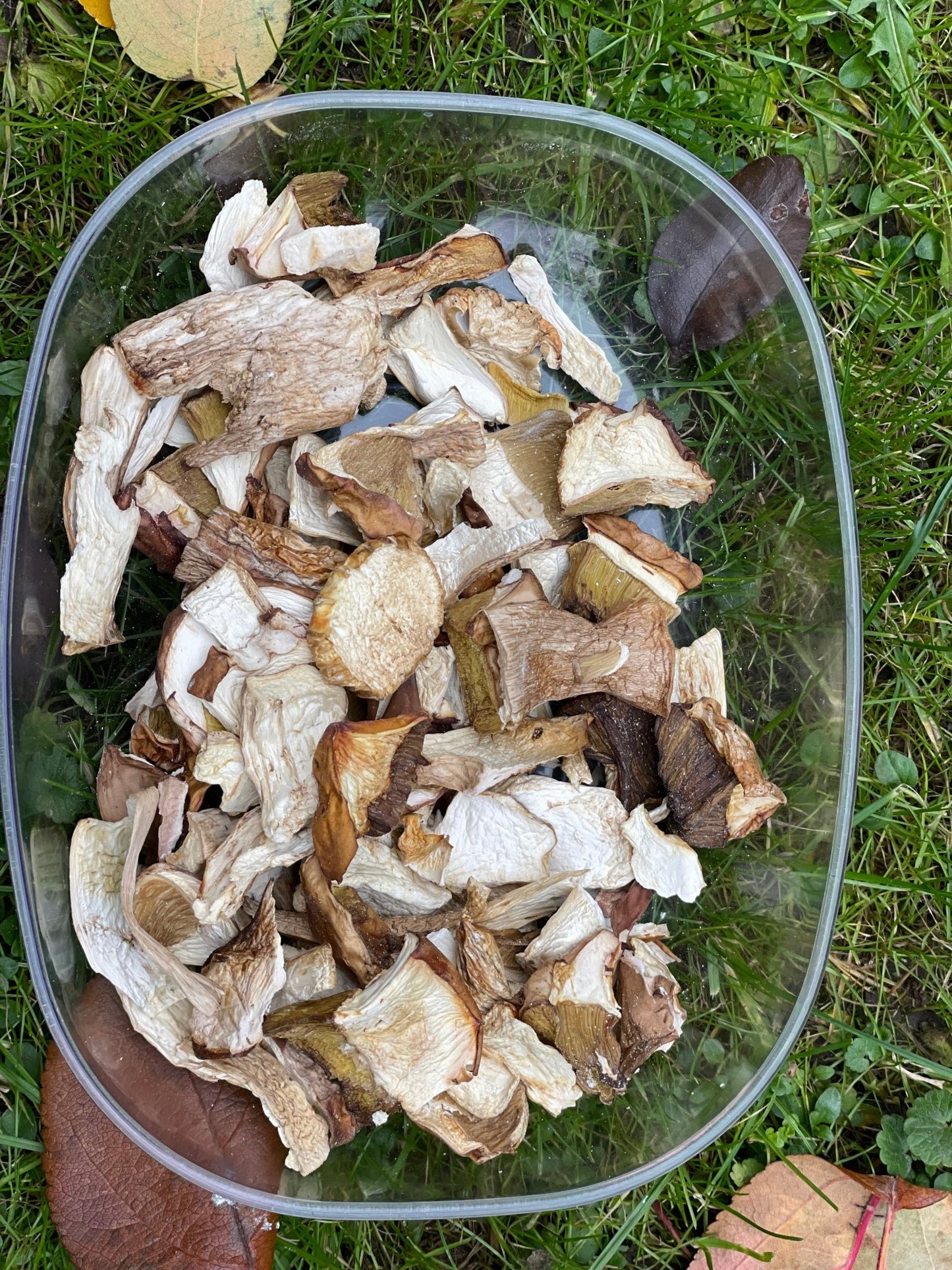 Гриби білі сушені 25 грам - Щось Смачненьке